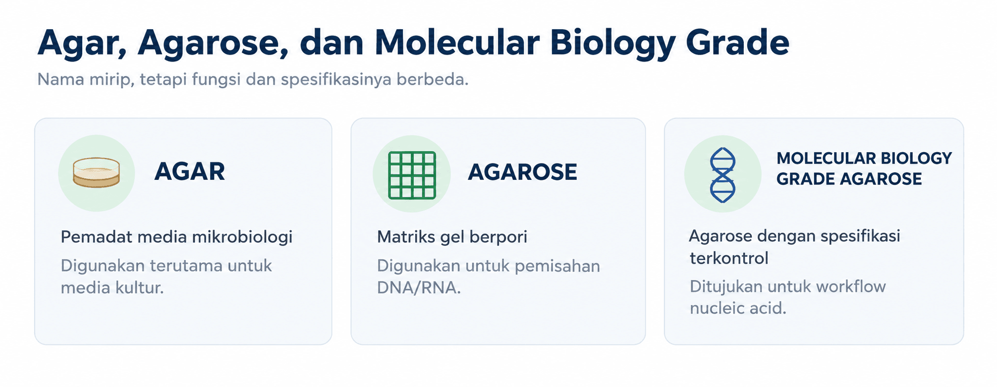 Perbedaan fungsi agar, agarose, dan molecular biology grade agarose