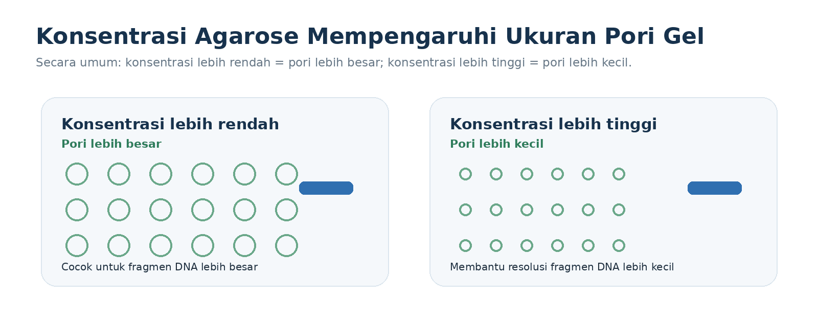 Hubungan konseptual antara konsentrasi agarose dan ukuran pori gel