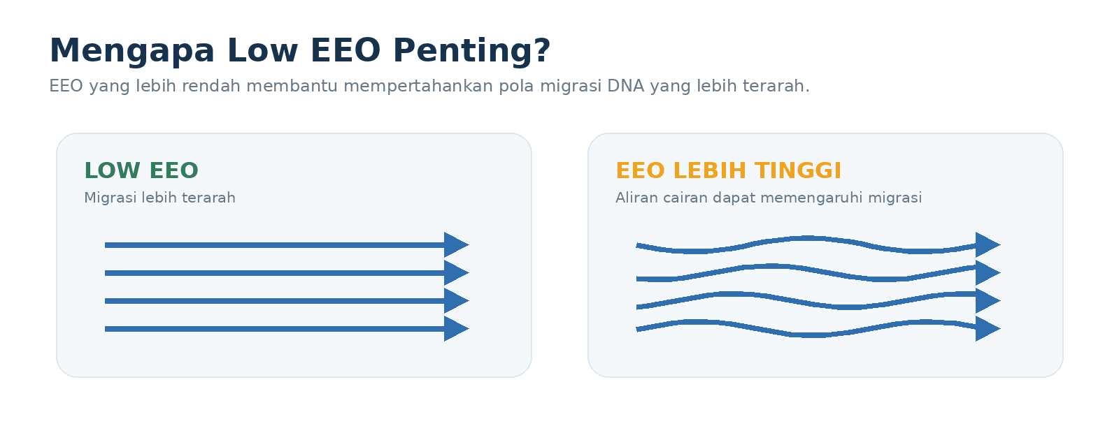 Ilustrasi konseptual: low EEO membantu pola migrasi DNA tetap lebih terarah