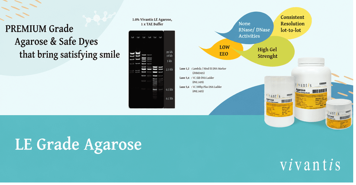 Visual produk dan hasil running resmi Vivantis LE Grade Agarose -